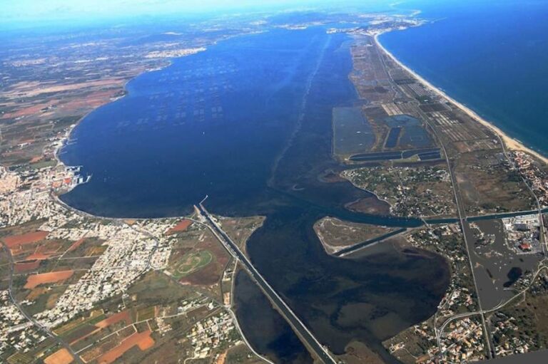 Lire la suite à propos de l’article Occitanie Tribune : BASSIN DE THAU – Le bassin de Thau n&rsquo;a pas vocation à devenir la banlieue de Montpellier !